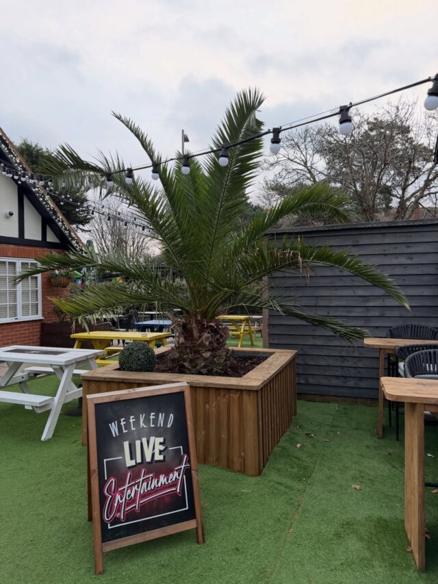 Phoenix canariensis, the Canary Island date palm in the @themaypolesurbiton garden. It took a complete pasting in the 22/23 winter and I thought it was lost but it made a comeback. Many smaller ones round here and other similar size ones in @kewgardens didn’t make it. There are some huge ones in central London and some near here wedged against the side of houses do well. 
.
.
.
.
.
#datepalm #phoenix #phoenixcanariensis #palm #palmtrees🌴 #palms #palmtrees #surbiton #riversidepassiflora